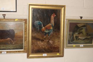 Henry Harkin, oil on board, study of a gamecock