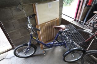 A Pashley Picador tricycle with rear view mirror,