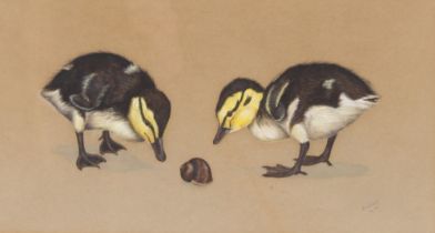 Richard Weatherly, study of ducklings and snail, signed watercolour dated '70, 16cm x 30cm