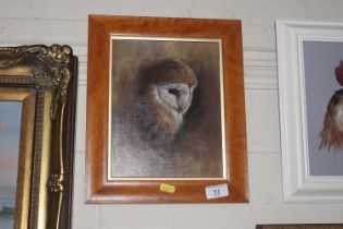 Richard Cook, acrylic study of a barn owl containe