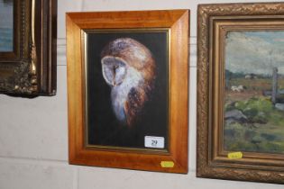 Richard Cook, acrylic study of barn owl, contained