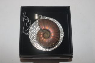 A Hallmarked Sterling silver mounted ammonite foss