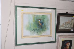 John Ryan, acrylic study of a kingfisher