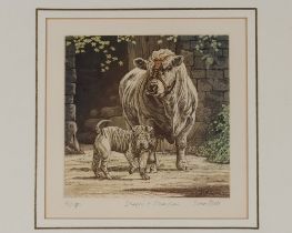 Simon Bull, limited edition etching "Sharpei and Charolais" 91/190