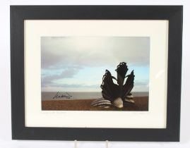 Chris Newson, "Scallop With Rainbow" photograph si