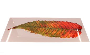 An Art Proof panel with coloured leaf decoration,