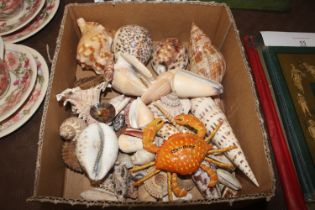 A box of various seashells