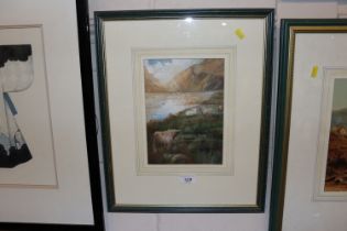 Unsigned watercolour study depicting highland catt