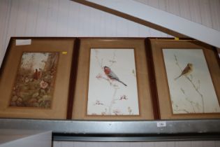 Three framed prints depicting birds