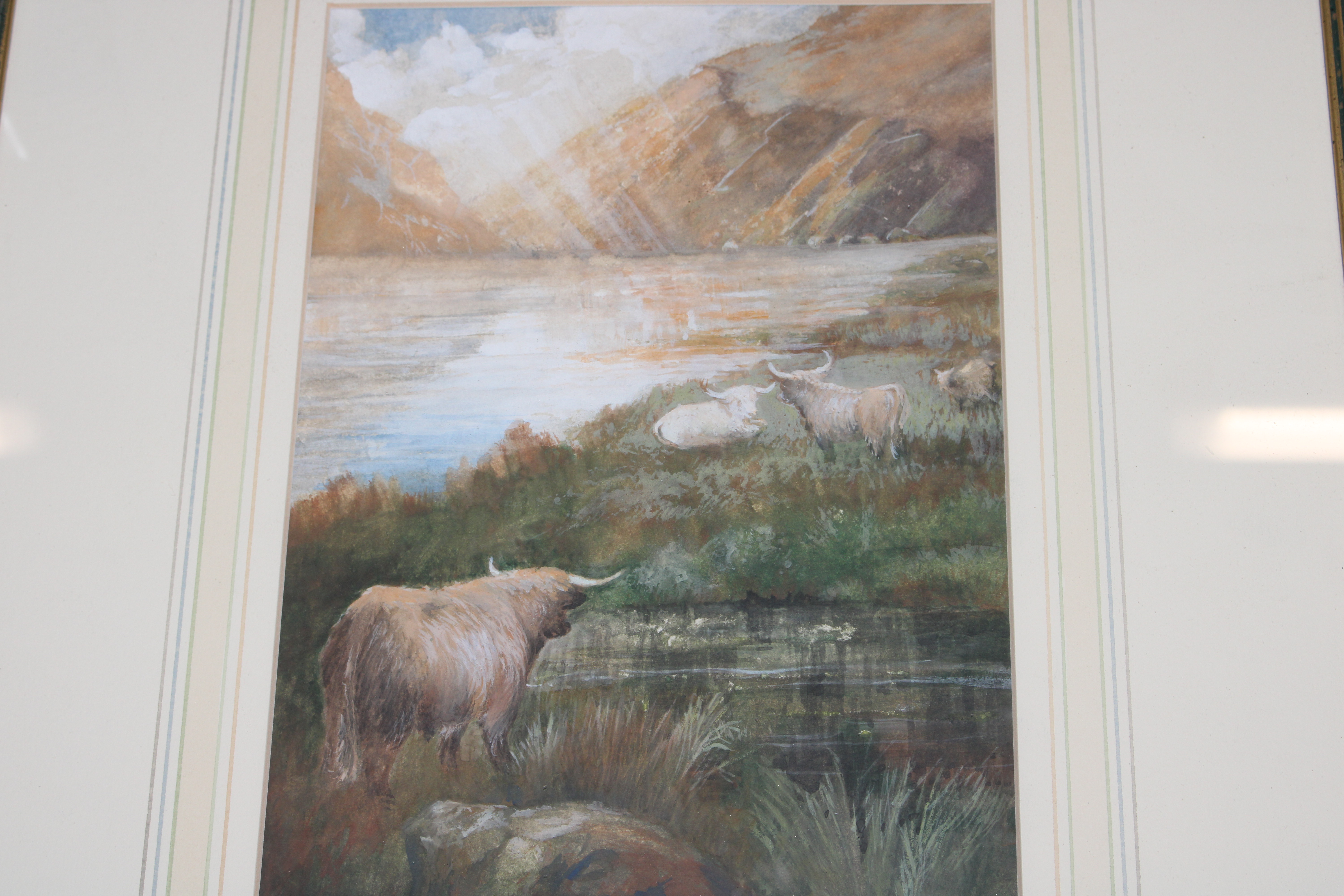Unsigned watercolour study depicting highland catt - Bild 2 aus 2