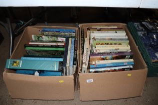 Two boxes of various books