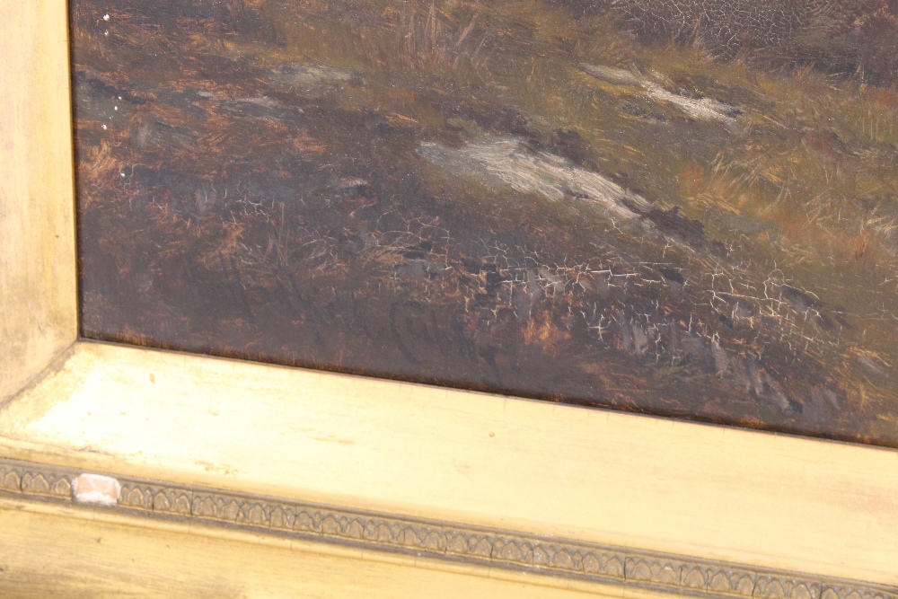 Henry Hadfield Cubley, study of Glen Nevis, Invernesshire, oil on canvas, inscription verso, 61cm - Image 3 of 3