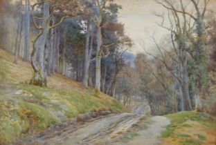 Charles James Adams, "A Woodland Road" watercolour, 37cm x 55cm in decorative gilt frame