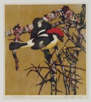 John Paige, pencil signed wood cut of a bird on a branch, plate 24cm x 21cm