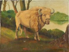 American school, 19th Century Naïve study of a buffalo in a landscape, unsigned oil on canvas,