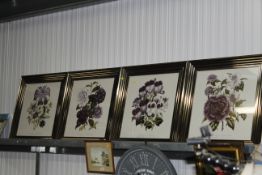 Four framed botanical prints