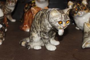 A Winstanley Pottery model of a cat with glass eye