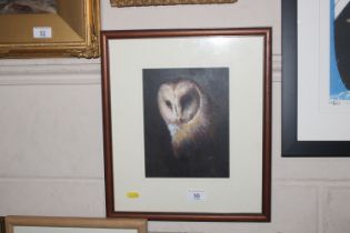 Richard Cook, acrylic study of barn owl