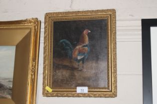 Oil on board, study of a game cock, initialled H.H