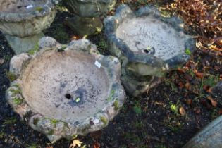 A pair of concrete shell planters