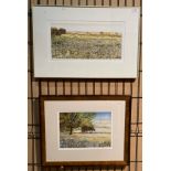 Judi Lante framed limited edition print 'Midsummer Daisies' 28cm x 54cm and signed in pencil No.