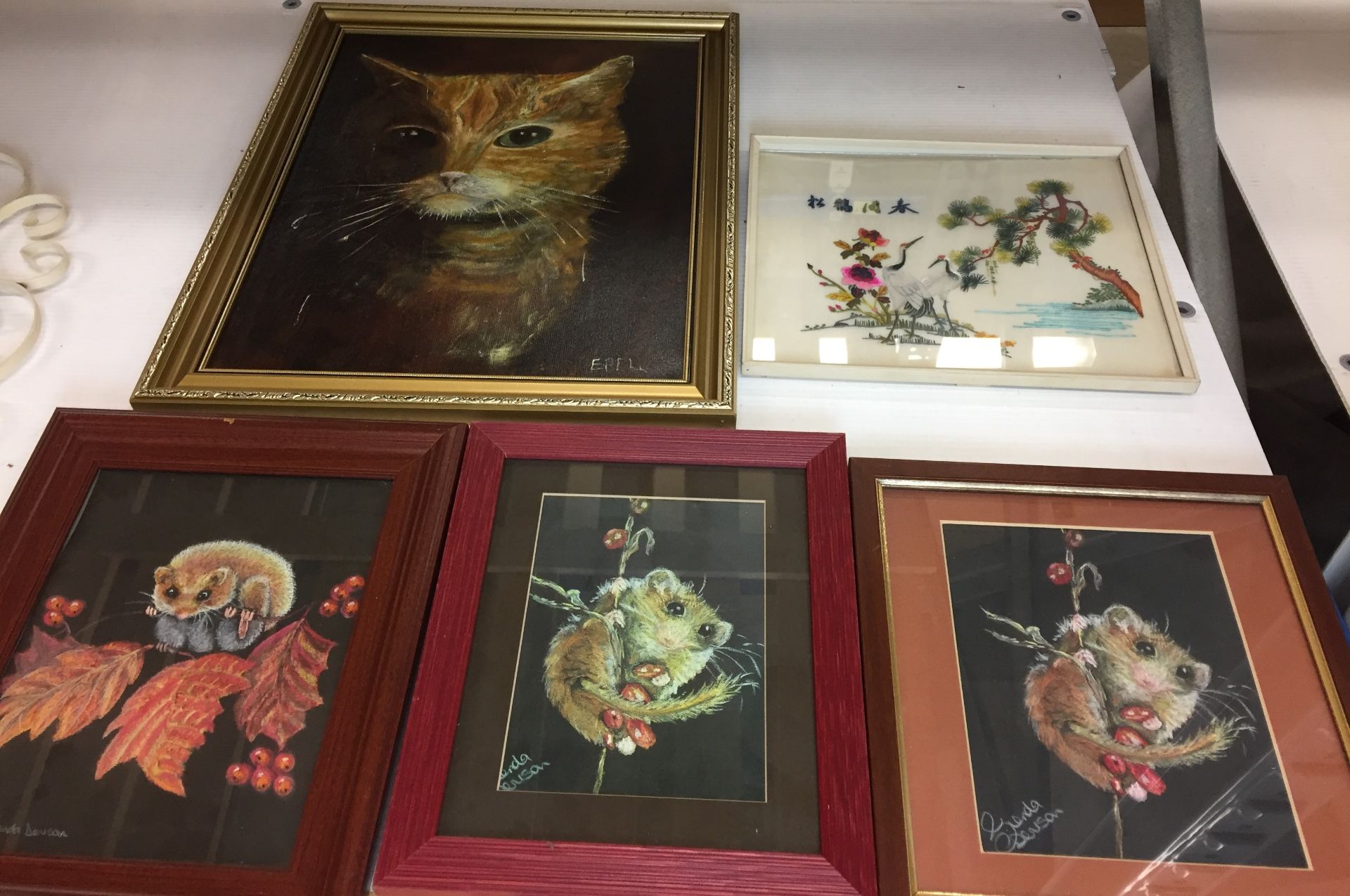 Five pictures - gilt framed oil painting of ginger cat 52 x 42cm,