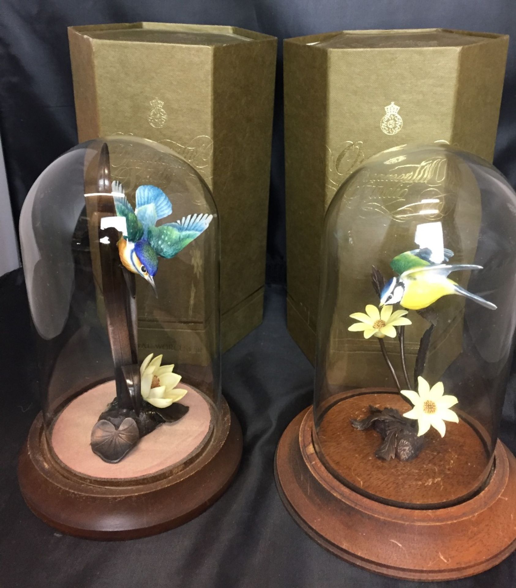 Two Royal Worcester porcelain birds on metal stands and wooden bases with glass domes and boxes -