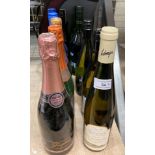 Ten various bottles - white wine, Cava and sherry including The Black Pig Pinot Grigio,