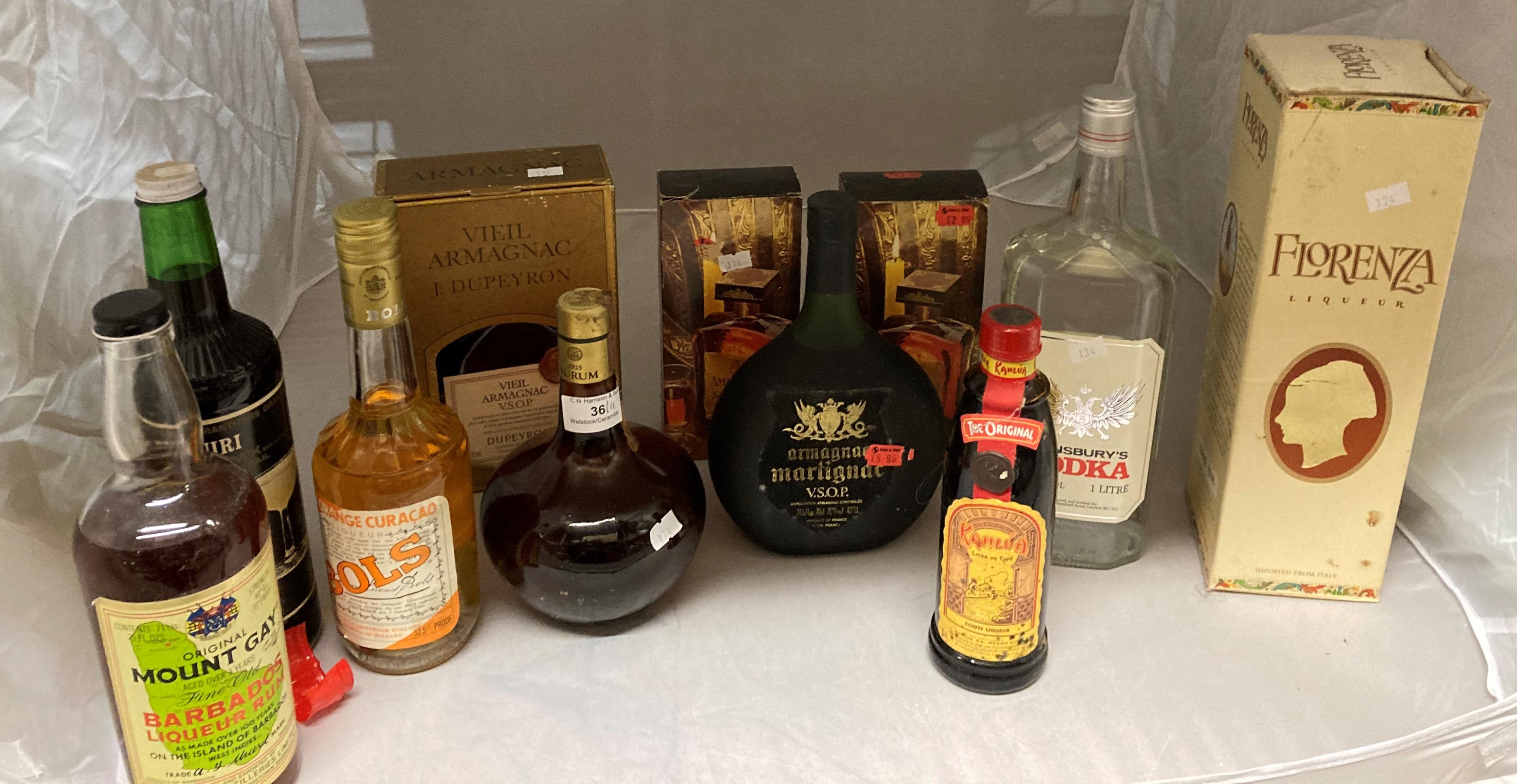 Eleven various bottles of spirits and liqueurs including one litre of Sainsbury's Vodka,