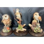 Three Country Artists birds - two Owls and an Osprey 14 to 18cm high (saleroom location: X13)