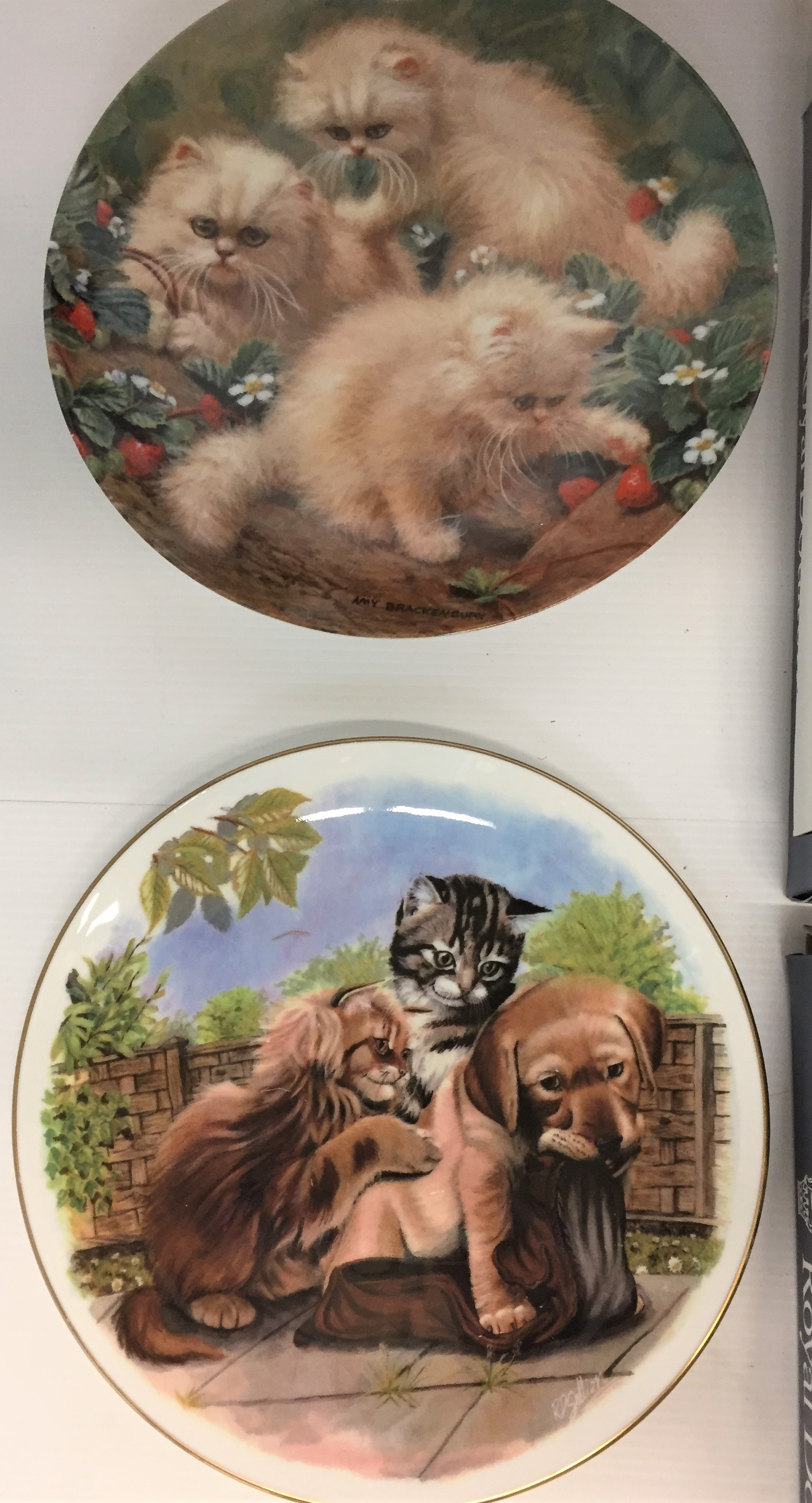 Six plates - three Royal Doulton Cats in the Window 12cm diameter with boxes, - Image 4 of 4