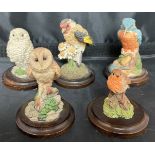 Five Country Artists birds including Owls and Kingfisher 5.