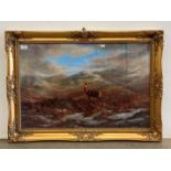 Large ornate gilt framed print 'Stag in Moorland',