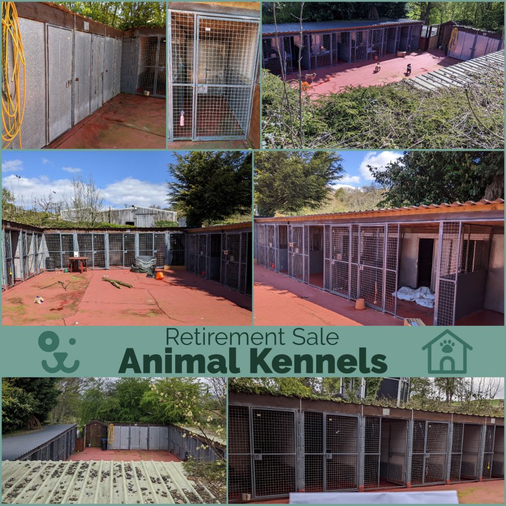 Retirement Sale of Commercial Dog Kennels