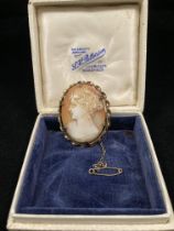 9ct gold oval cameo brooch with safety chain and pin (approximate weight 8.