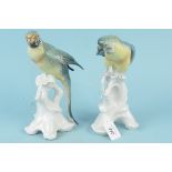 A pair of Karl Ens parakeets, 24.