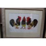 A collection of framed pastel drawings by Jane Spence including three cockerels,