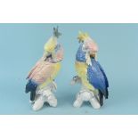 A pair of large Karl Ens macaw parrots, 34.