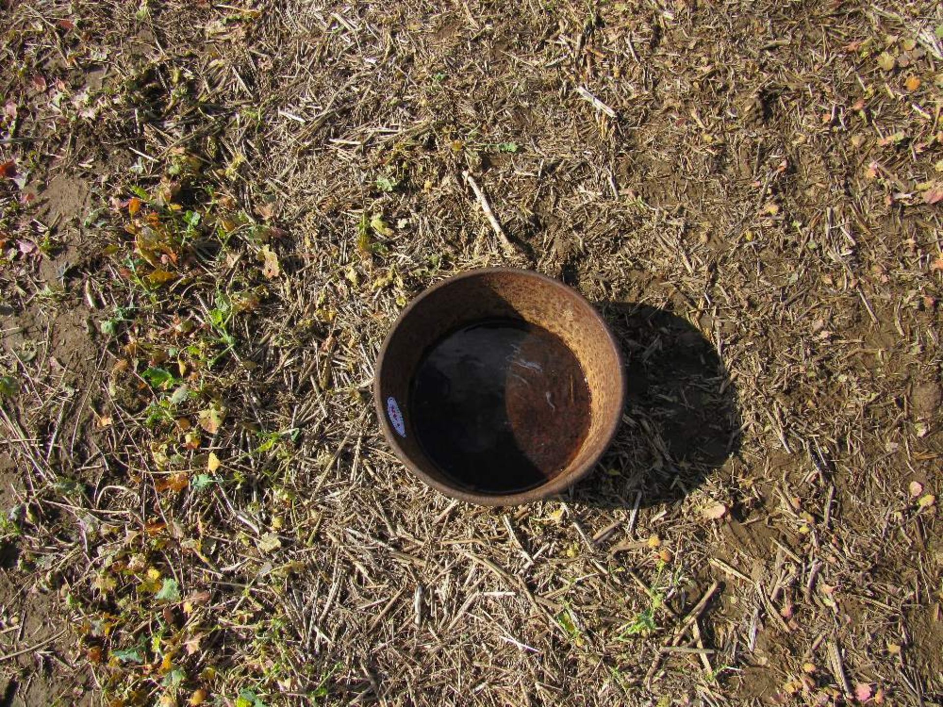 Round cast iron pig bowl,