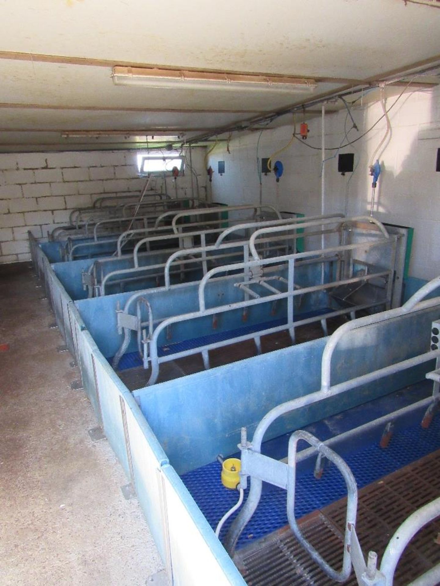 10 x Farrowing crates c/w floors - Image 2 of 4