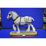 Border Fine Arts Champion Shire Horse B0888A