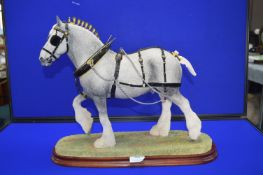 Border Fine Arts Champion Shire Horse B0888A