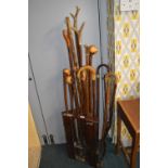 Collection of Walking Sticks