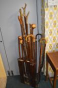 Collection of Walking Sticks