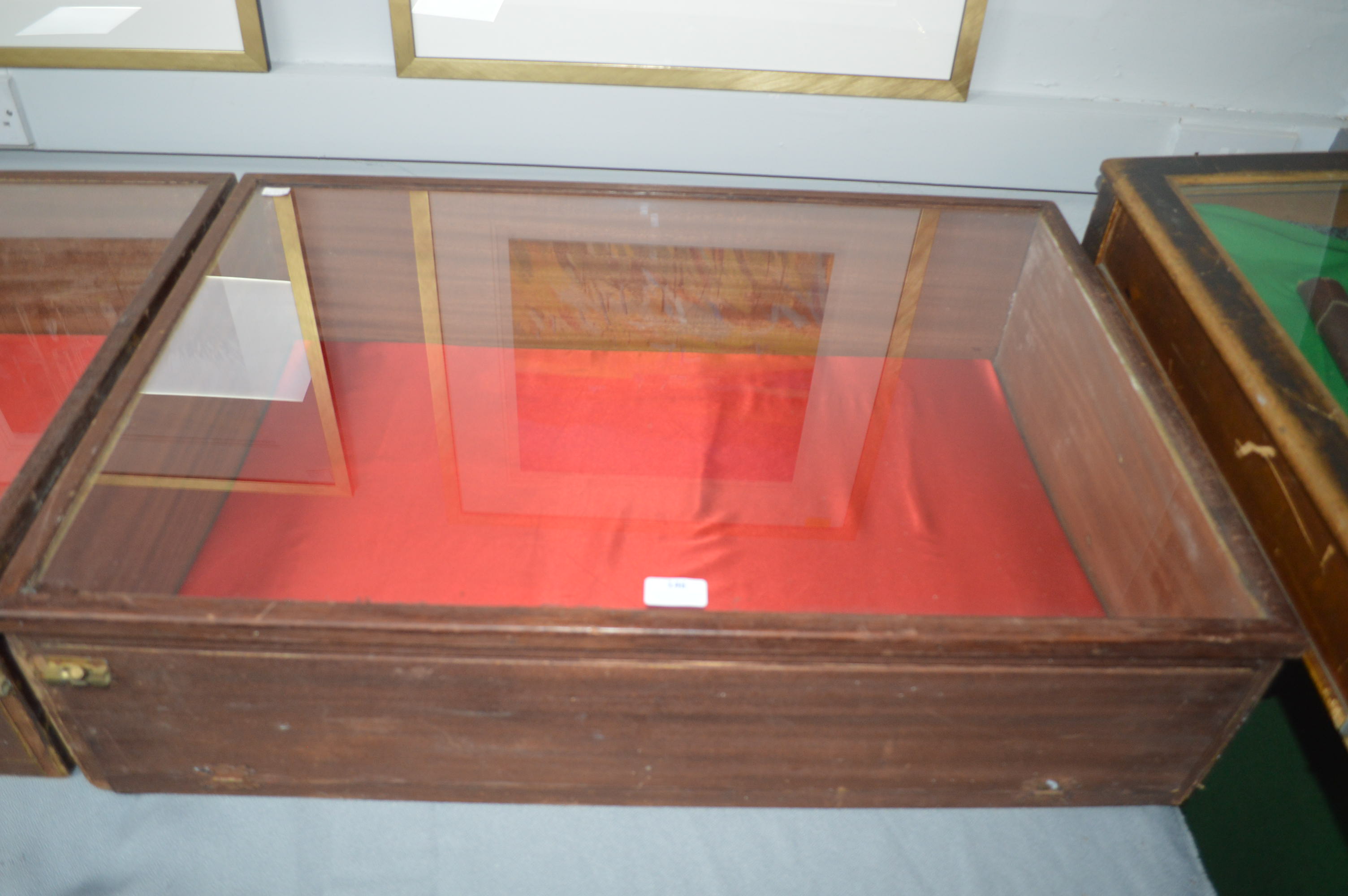 Shop Counter Glazed Display Case