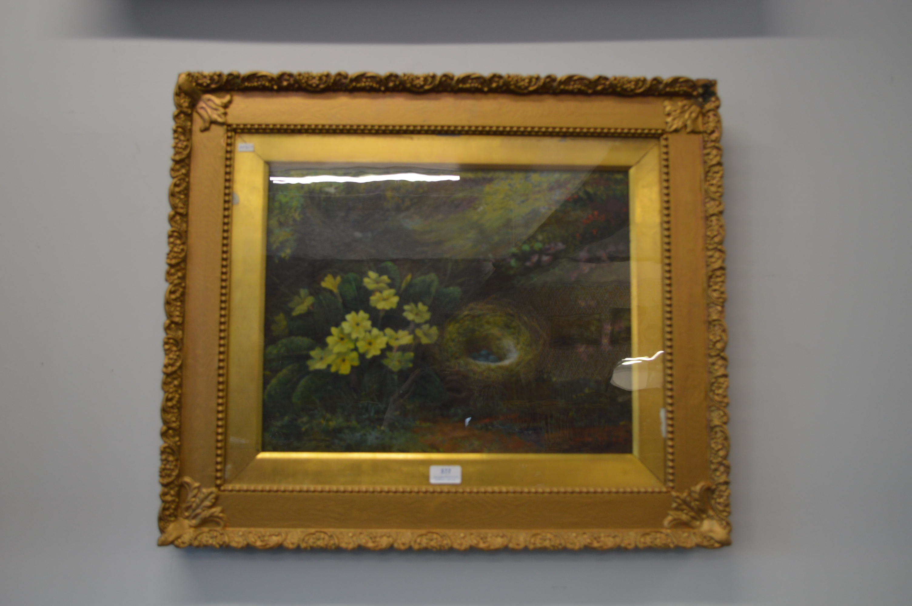 Gilt Framed Oil on Canvas Study of a Birds Nest by