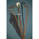 Silver Topped Walking Sticks and Canes, plus Umbrella and Heron Walking Stick