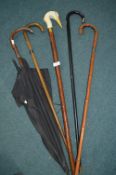 Silver Topped Walking Sticks and Canes, plus Umbrella and Heron Walking Stick