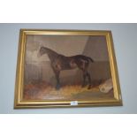 Oil on Canvas Study of a Horse by Colin Graham