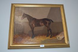 Oil on Canvas Study of a Horse by Colin Graham